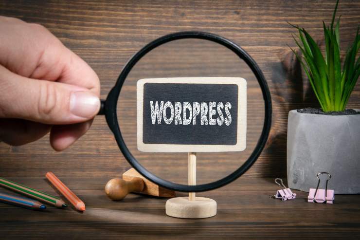 scritta wordpress con lente